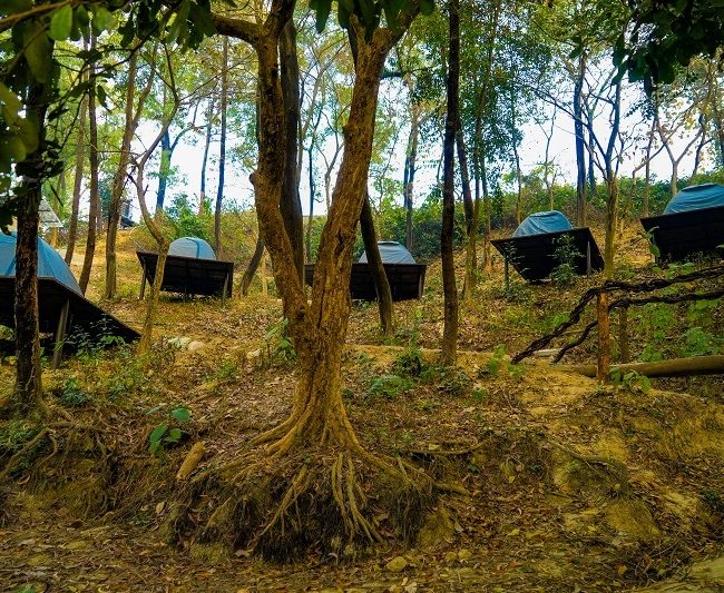 foys lake base camp accommodation Tent 3