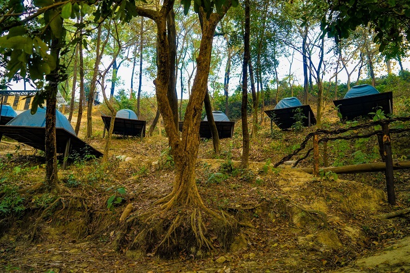 foys lake base camp accommodation Tent 3