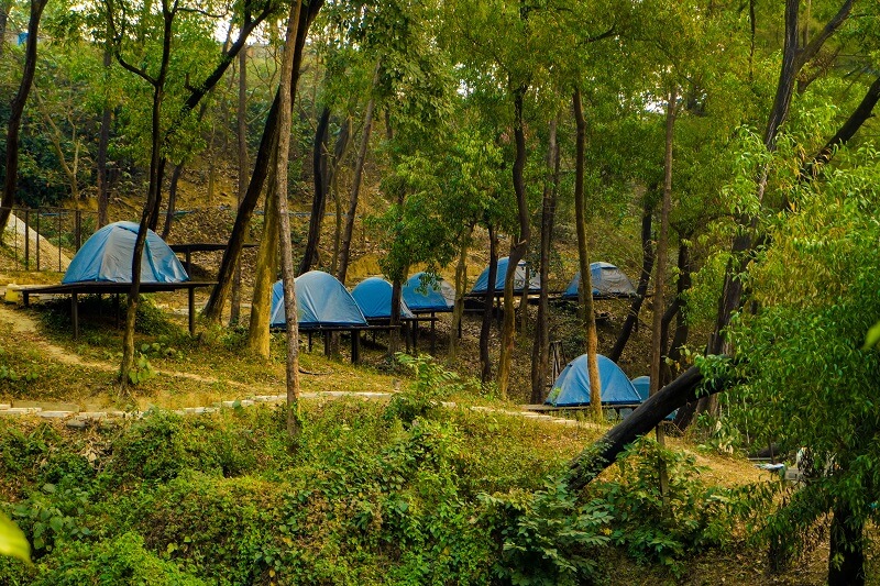 foys lake base camp accommodation Tent 4